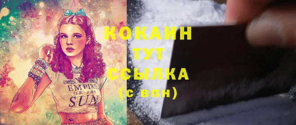 твердый Козловка